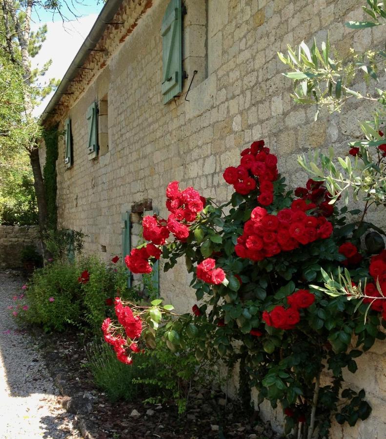 Villa Mas Cestayrols Экстерьер фото